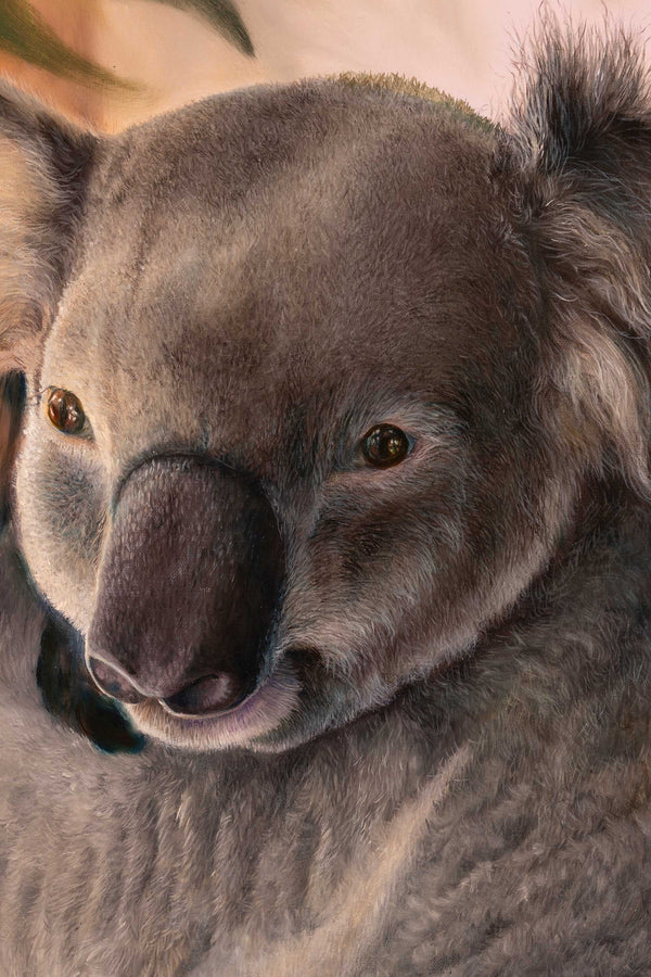 Close up of the original oil painting 'Dropbear' of a koala by Swapnil Nevgi