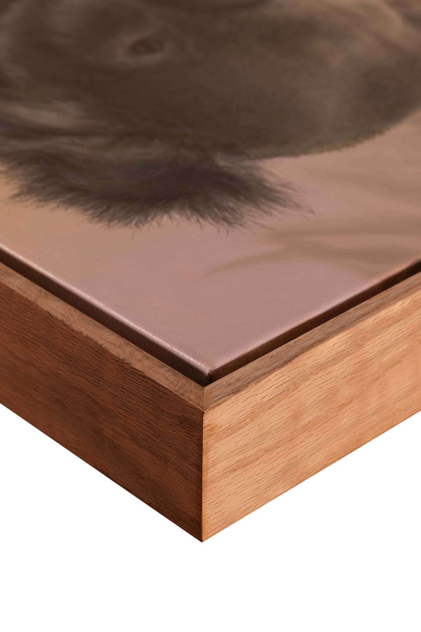 Close up of the frame used for the original oil painting 'Dropbear' of koala by Swapnil Nevgi