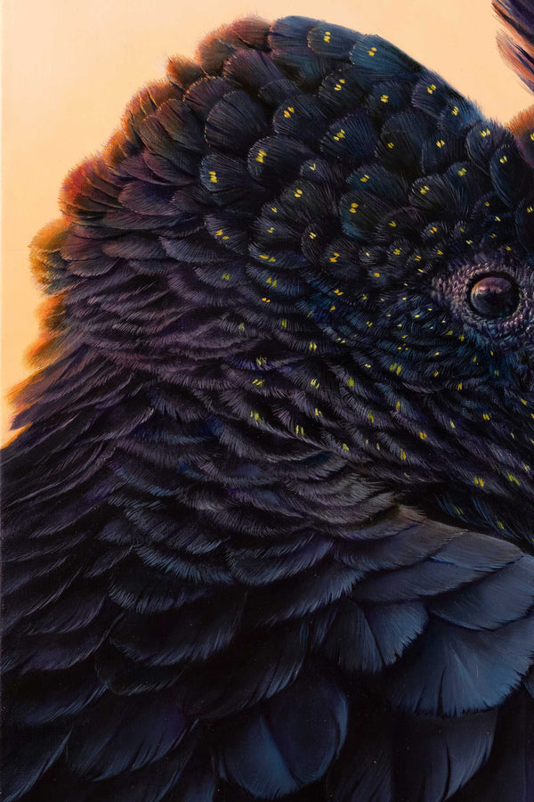 Another close up of feathers of Black cockatoo original painting