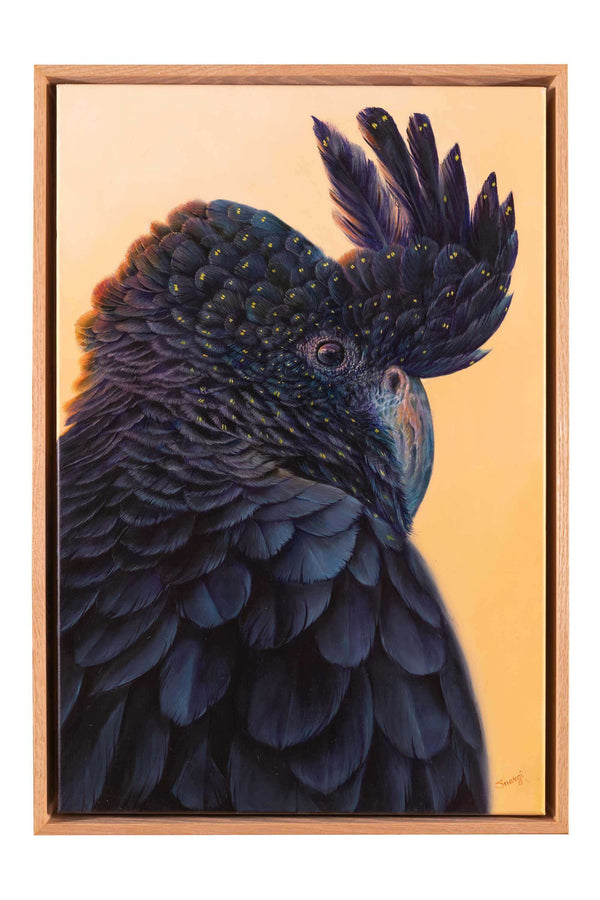 Hidden red tail , an original painting of red tail black cockatoo shown in it's oak float frame.