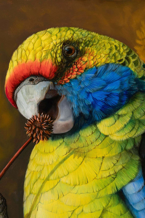 Close up of the original oil painting 'It's Crunchy' showing green rosella by Swapnil Nevgi