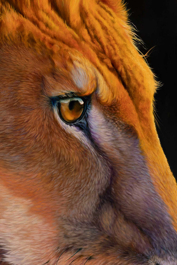 Close up of the eye in the lion portrait original painting by Swapnil Nevgi