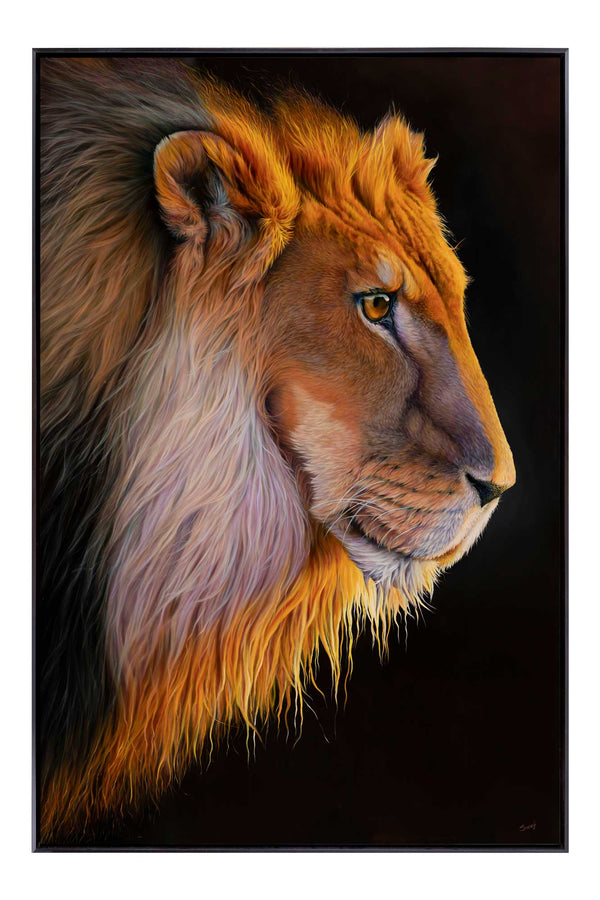 Lion original oil painting 'Tactical Gaze' shown in it's frame