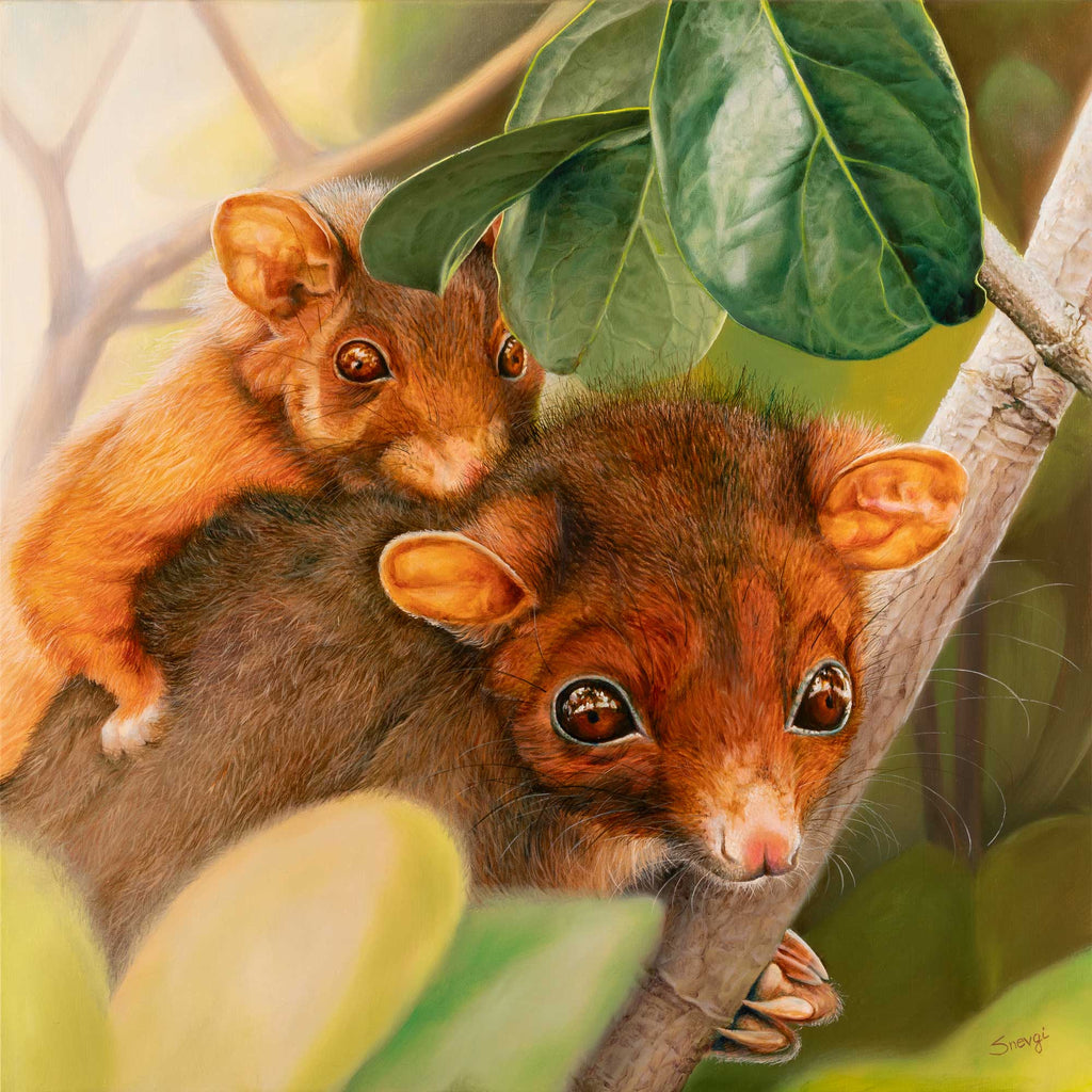 Piggyback Baby - Limited Edition Art Prints