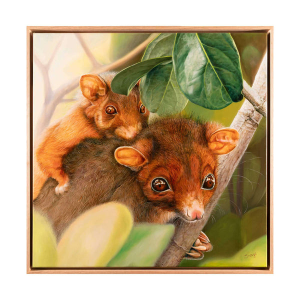 Photo of the 'Piggyback Baby' in Oak timber float frame