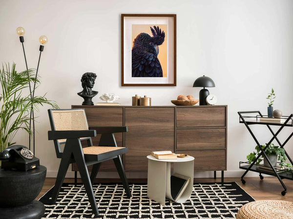 Red tail black cockatoo wall art on display in a room setting as an example of paper print made from 'Hidden Red Tail' original painting by Swapnil Nevgi
