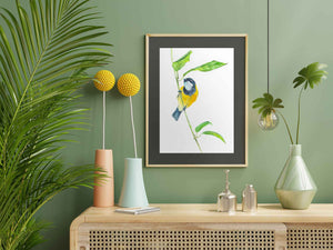 Wall art / fine art print of watercolour golden whistler by Swapnil Nevgi