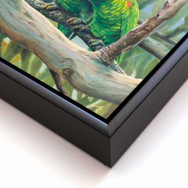 Original painting Exclusive groomer framing details corner and signature