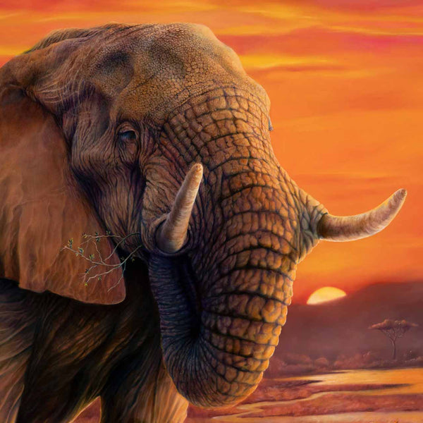 Big brother original painting close up of the older elephant