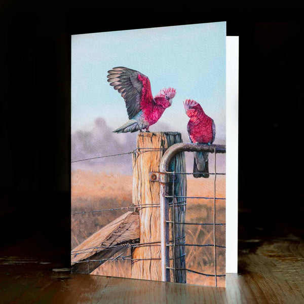 Greeting card - made from art print of my original art - Galahs - by Swapnil Nevgi Fine Art
