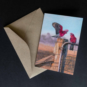 greeting card - galahs shown with the envelope supplied - by Swapnil Nevgi Fine Art