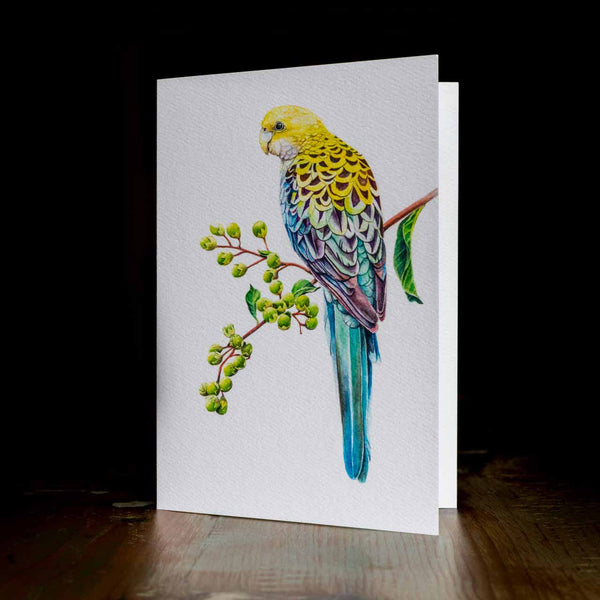 Greeting card - made from art print of my original art - Pale headed rosella - by Swapnil Nevgi Fine Art