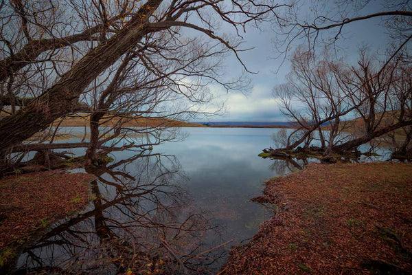 fine art photography print of Lake Alexandrina at New Zealand