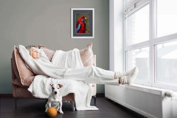 Crimson rosella paper wall art shown in a frame as an example of how it can be used.