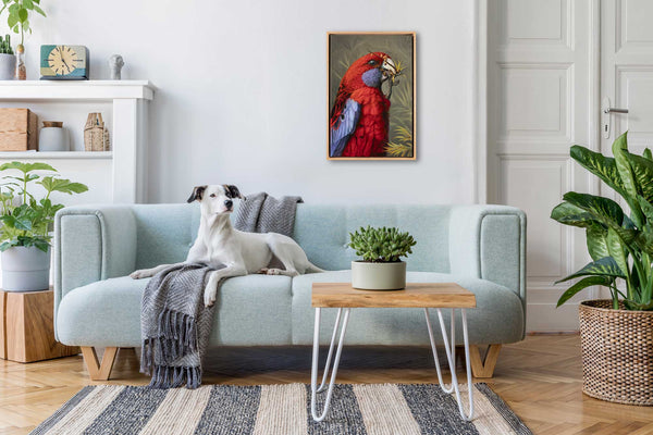 crimson rosella original painting 'Crimson Fella' shown in a home setting