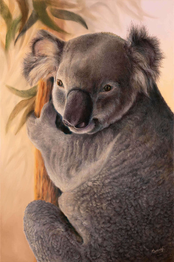 Koala wall art prints affordable quality created from 'dropbear' original painting by Swapnil Nevgi