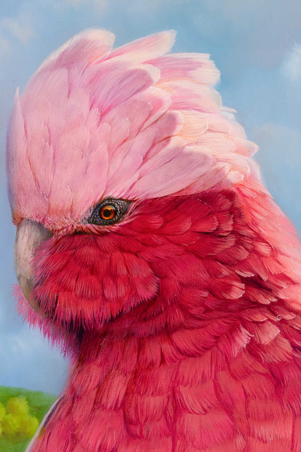 Close up of the original painting 'Bella the Galah' by Swapnil Nevgi