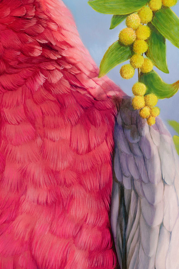 Close up of the feathers in the original oil painting 'Bella the Galah' by Swapnil Nevgi