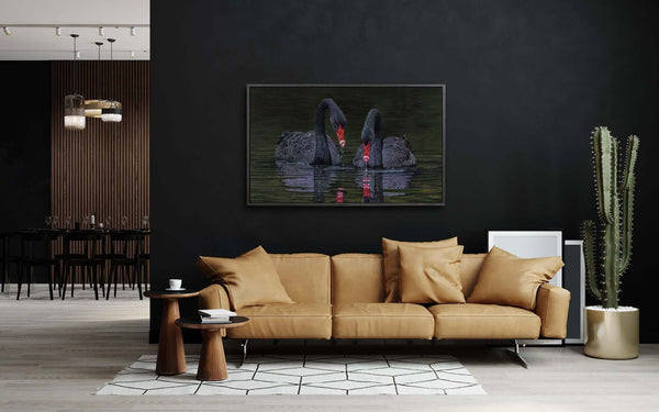 Limited edition print of black swan ducks original painting in room setting as an example