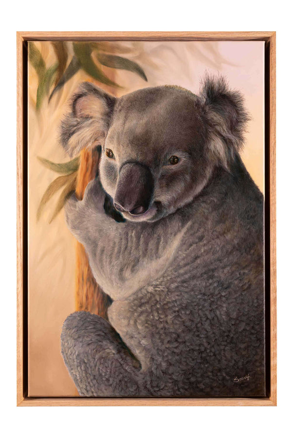 Koala painting 'Dropbear' by Swapnil Nevgi shown in it's oak float frame