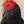 Wall art of gang gang cockatoo created from original painting 'The Red Crown' by Swapnil Nevgi