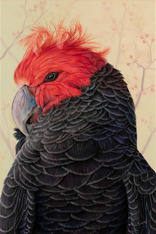 Wall art of gang gang cockatoo created from original painting 'The Red Crown' by Swapnil Nevgi