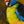 Wall art made from original painting 'It's Crunchy' by wildlife artist Swapnil Nevgi