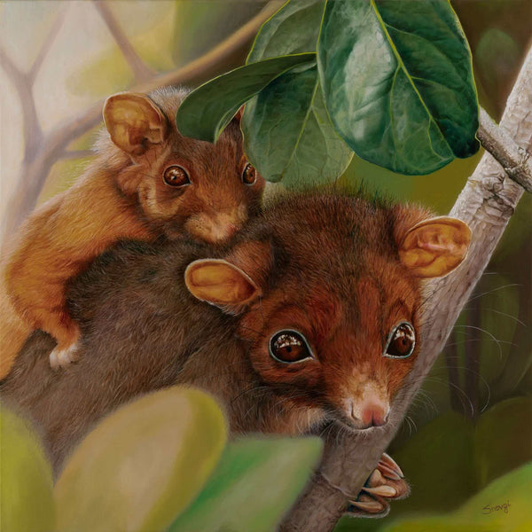 Cute mother possum carrying her joey around original oil painting 'Piggyback Baby' by Swapnil Nevgi