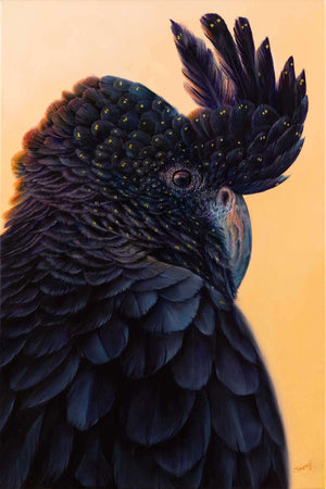 Red tail black cockatoo wall art created from original painting 'Hidden Red Tail' by Swapnil Nevgi