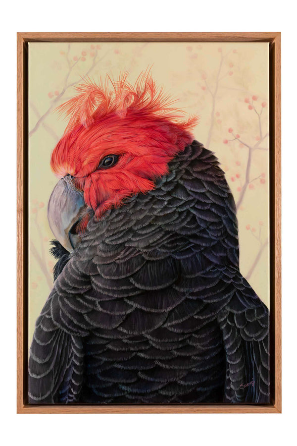 Original oil painting 'The Red Crown' shown in it's oak float frame.