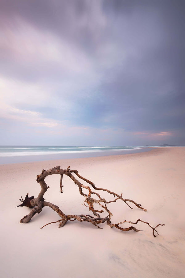 Moody wall art for your beautiful home decor showing driftwood on the beach at sunset