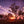 Sunset landscape wall art featuring silhouettes of trees against a violet and golden sky, perfect for adding calm and beauty to home interior décor.