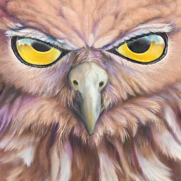 barking owl original painting close up photo