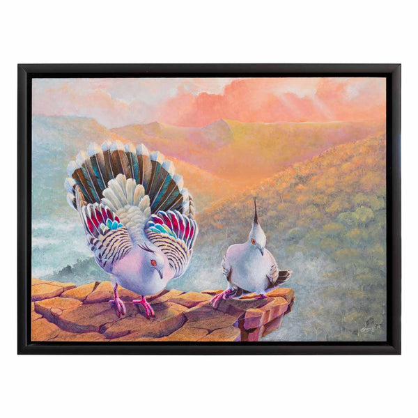 Original painting Break Free of crested pigeon shown in it's original  black frame