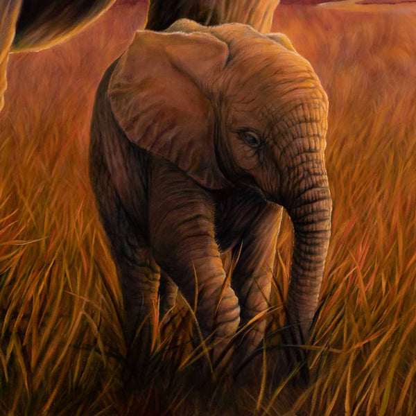 Big brother original painting close of the baby elephant