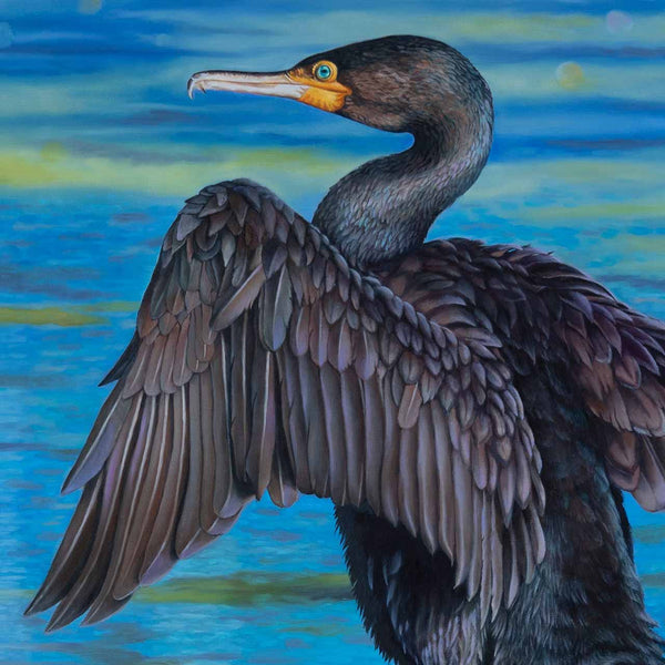 close up of the great cormorants wings in original painting Cormorant the great