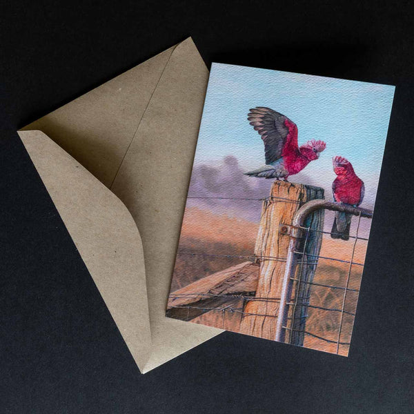 greeting card - galahs shown with the envelope supplied - by Swapnil Nevgi Fine Art