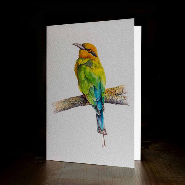 Greeting card - made from art print of my original art - rainbow bee-eater - by Swapnil Nevgi Fine Art