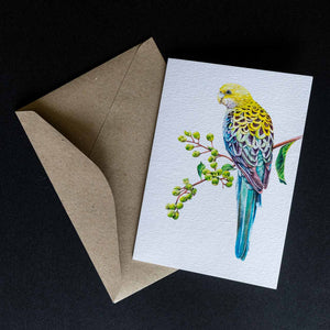 greeting card - pale headed rosella shown with the envelope supplied - by Swapnil Nevgi Fine Art