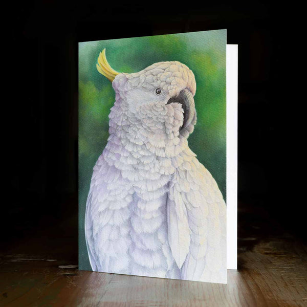 Greeting card - made from art print of my original art - sulphur crested cockatoo - by Swapnil Nevgi Fine Art
