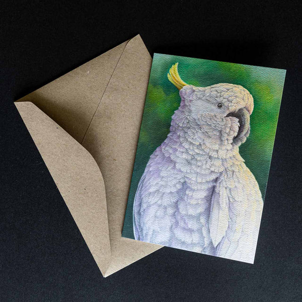 greeting card - sulphur crested cockatoo shown with the envelope supplied - by Swapnil Nevgi Fine Art