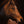 Le Magnifique original painting of horse close up