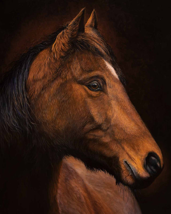 Le Magnifique original painting of horse close up