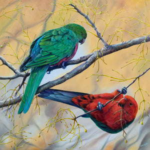 Limited Edition Prints of 'The Royals' original painting of a pair of king parrots - by Swapnil Nevgi Fine Art