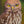 Original art for sale - portrait of a Barking Owl
