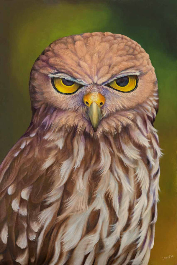 Original art for sale - portrait of a Barking Owl