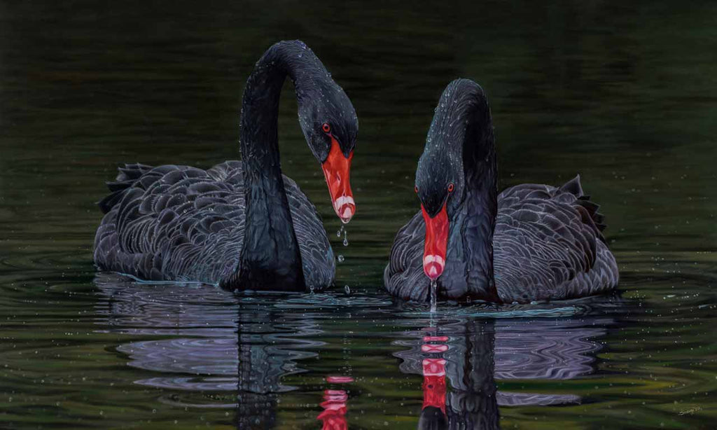 Black Magic - Black Swan Original Oil Painting