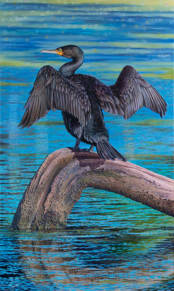 an original oil painting for sale - Cormorant the Great - by Swapnil Nevgi Fine Art
