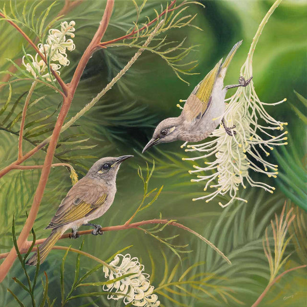 Limited edition prints of original painting Love Blossoms of two brown honeyeaters - by Swapnil Nevgi Fine Art