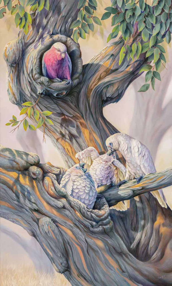 Limited Edition Prints of 'Noisy Neighbour' original painting of corella feeding it's chicks and galah getting annoyed by the noise
